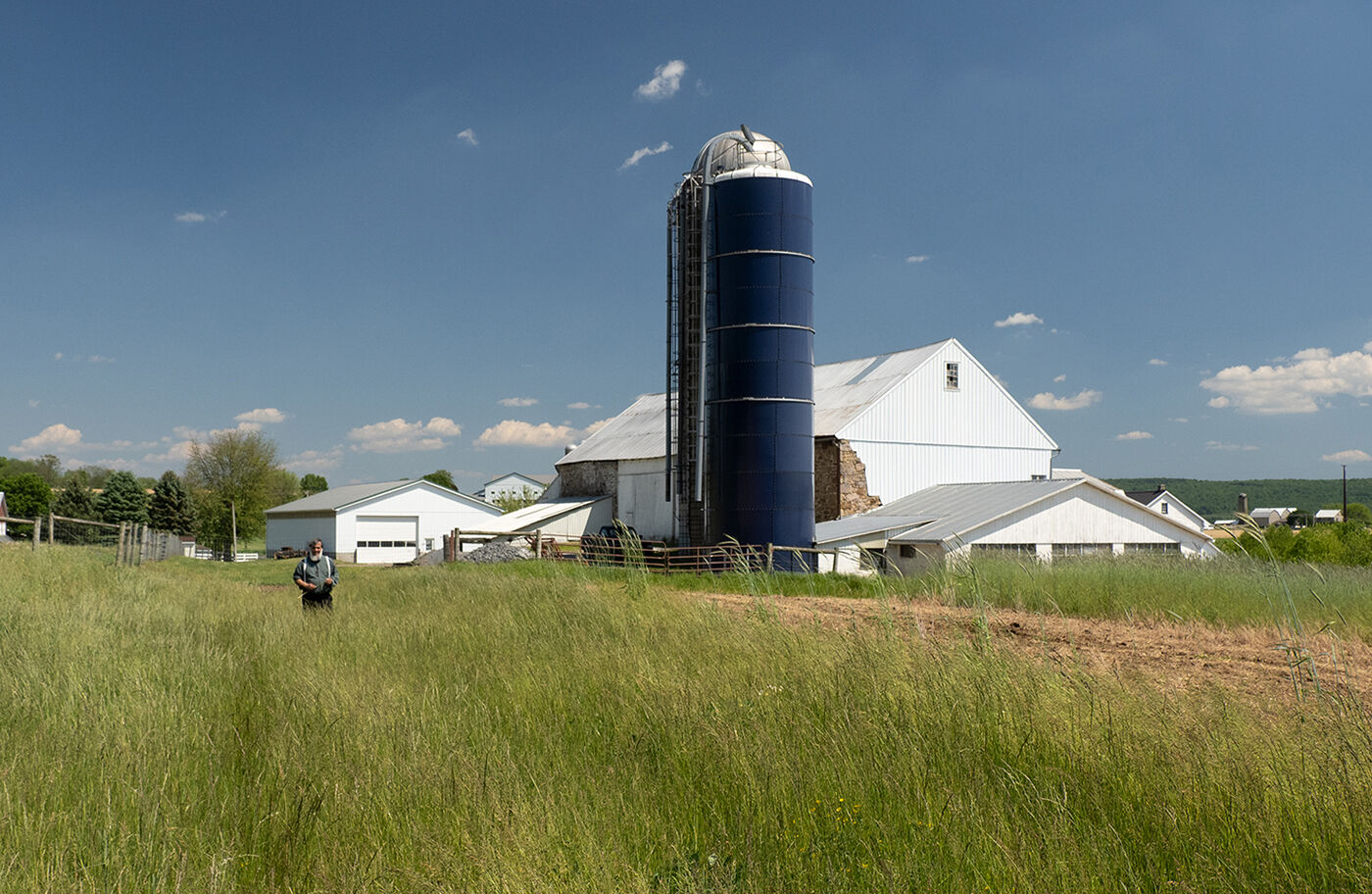 Farm swale